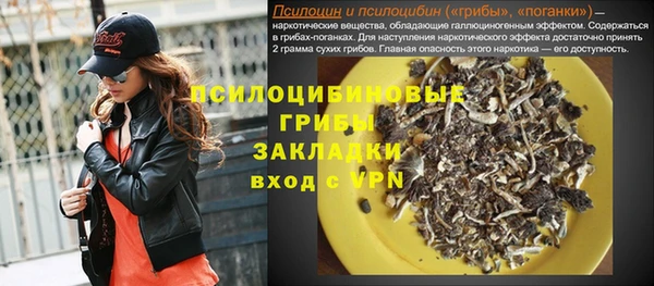 бошки Арсеньев