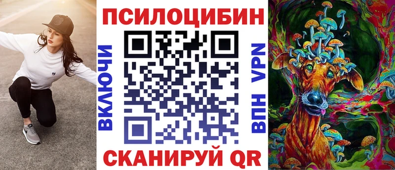 KRAKEN ССЫЛКА  Ревда  Галлюциногенные грибы Cubensis 